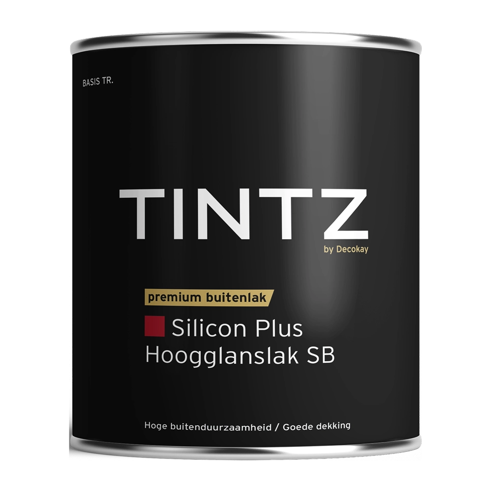 TINTZ-Silicon-Plus-Hoogglanslak_-Duurzame-Glans-voor-Buiten